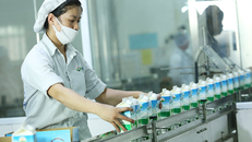 Nhà máy sữa của Mộc Châu có công suất ước đạt 250 tấn sữa/ngày (tương đương 150.000 hộp sản phẩm/giờ) với các sản phẩm chính như sữa tươi thanh trùng, sữa tươi tiệt trùng, sữa chua ăn, sữa chua uống…