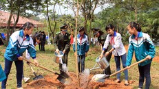 Phong trào 'Tết trồng cây' của người Việt do ai khởi xướng?