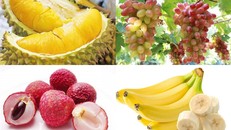 Ăn trái cây có nồng độ cồn sẽ không bị xử phạt?