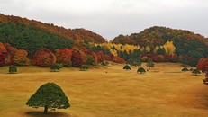 Hành trình khám phá lịch sử Cheongju - Hàn Quốc: 3 địa điểm không thể bỏ qua