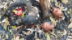 Bộ xương cốt phía sau vườn nhà bà Vân. - Ảnh: Vietnamnet