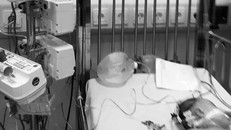 Bệnh nhi nguy kịch sau uống sữa non để chữa biếng ăn