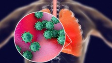 nCoV có thể sao chép ở đường hô hấp trên hoặc dưới. - Ảnh: The Scientist.