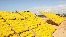 Bún song thằn là đặc sản nổi tiếng ở tỉnh nào?