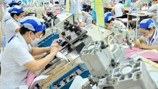 Vào EVFTA: Phải chủ động được nguyên liệu