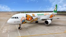 Máy bay của hãng hàng không Eva Air. - Ảnh minh họa