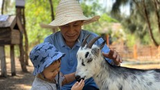 Trẻ tìm hiểu về động vật tại FLC Zoo Safari Park Quy Nhơn