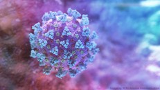 Virus SARS-CoV-2. - Ảnh: NEXU