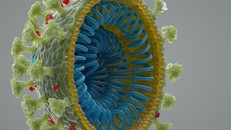 nCoV không bắt nguồn từ phòng thí nghiệm