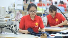 8 tập đoàn trong các lĩnh vực lương thực, xăng dầu, hàng không...dự báo lỗ tới 26.234 tỷ đồng (hơn 1,1 tỷ USD) hơn nếu dịch kéo dài trong năm nay.