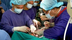 Việt Nam đủ năng lực ghép phổi cho bệnh nhân 91 mắc COVID-19?