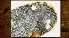 Hình ảnh đáng sợ về chiếc tai nghe bẩn dưới kính hiển vi