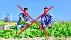 Phản ứng của Việt Nam trước thông tin Trung Quốc thu hoạch rau tại Hoàng Sa