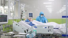 Phi công Anh ngưng ECMO, gan thận phục hồi chức năng hoàn toàn. - Ảnh: Vietnamnet