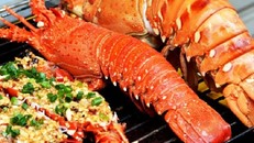 Nơi nào ở Việt Nam được mệnh danh là “thiên đường tôm hùm”?