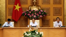 Chống COVID-19: Tổ chức khu vực riêng đón các nhà ngoại giao, doanh nhân