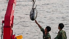 Quả bom được trục vớt dài 1,6 m - Ảnh: Zing.vn