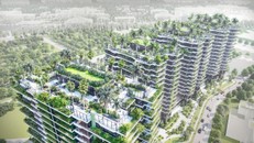 Vườn thẳng đứng 'phủ mát' Singapore, Việt Nam thì sao?