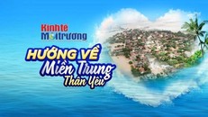 Tạp chí Kinh tế Môi trường hướng về đồng bào vùng lũ miền Trung. 