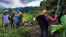 Hơn 200 công nhân thủy điện Đắk Mi được giải cứu an toàn