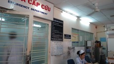Khoa cấp cứu Bệnh viện Nhi đồng 1 TP.HCM nơi tiếp nhận bệnh nhi. 