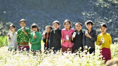 Vinamilk đồng hành cùng chương trình Cặp lá yêu thương