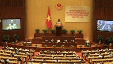 Tiêu chuẩn lựa chọn đại biểu dự Đại hội XIII của Đảng