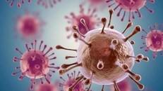 Vì sao số người mắc và tử vong vì ung thư ở Việt Nam tăng nhanh