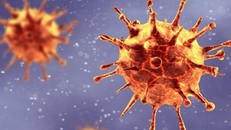 Phát hiện biến chủng mới của virus SARS-CoV-2 có thể làm 'vô hiệu hóa' xét nghiệm PCR