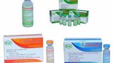 Vắc xin COVIVAC an toàn, hiệu quả trên thực nghiệm