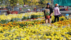 Thời tiết Tết Dương lịch 2022 sẽ ra sao?