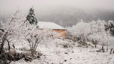 Đợt rét đậm, rét hại đầu tiên có khả năng xảy ra mưa tuyết và băng giá