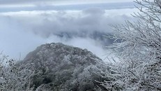 Đêm 29/1, vùng núi cao thuộc Bắc Bộ có khả năng xảy ra mưa tuyết