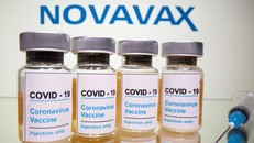 Vaccine ngừa COVID-19 của Novavax chưa tạo hiệu ứng như kỳ vọng tại châu Âu