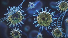 Thực khuẩn thể - Vũ khí giúp chống lại vi khuẩn kháng thuốc