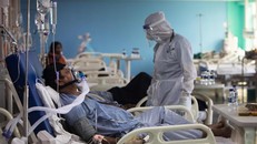 Mối liên quan giữa COVID-19 và khả năng sinh sản của nam giới