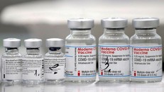 Moderna sắp xin cấp phép vaccine ngừa COVID-19 cho trẻ dưới 5 tuổi 