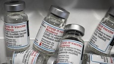 EMA đánh giá khả năng sử dụng vaccine của Moderna cho trẻ dưới 5 tuổi