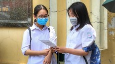 Bộ Giáo dục và Đào tạo khẩn trương thảo luận kỹ lưỡng, đánh giá toàn diện để đề xuất phương án phù hợp dạy môn Lịch sử trong Chương trình giáo dục phổ thông. - Ảnh: TTXVN.