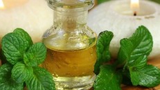 Các biện pháp tự nhiên tránh muỗi đốt phòng sốt xuất huyết đơn giản, hiệu quả