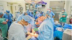 Thử nghiệm thành công cấy ghép tim lợn cho người chết não