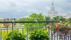 Điểm danh những khu căn hộ “giá thuê cực sốc, sống chill chạm nóc” tại Vinhomes Ocean Park