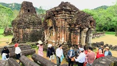 Mỗi ngày có khoảng 10 đoàn khách đến tham quan Di sản Văn hóa thế giới Mỹ Sơn.