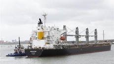 Tàu Navi Star treo cờ Panama chở 33.000 tấn ngũ cốc của Ukraine cập cảng Foynes ở County Limerick, Ireland ngày 20/8/2022. (Ảnh: AFP)