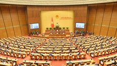 Cần có hình thức thanh tra đặc biệt để xử lý ngay khi phát hiện sai phạm