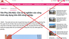 Giao diện một trang web giả mạo.