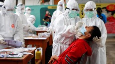Cảnh báo dịch COVID-19 làm gia tăng số ca nhiễm siêu vi khuẩn