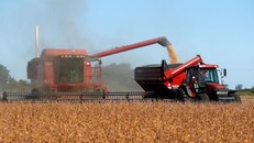 Nga tiếp tục hợp tác với LHQ để đảm bảo an ninh lương thực thế giới