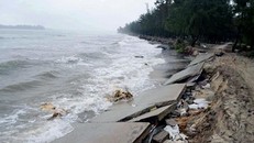 Nhiều vùng biển có gió mạnh cấp 6, giật cấp 8, biển động