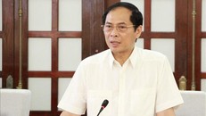 Bộ trưởng Bộ Ngoại giao Bùi Thanh Sơn.